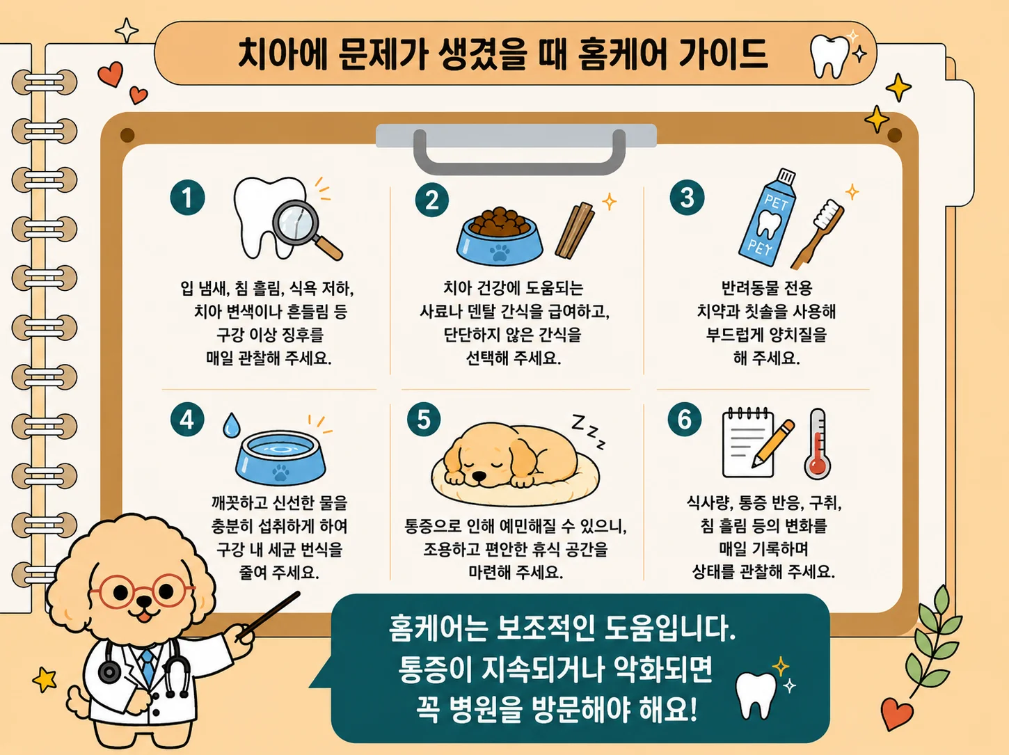 구강 이상 징후를 매일 관찰해 주세요, 치아 건강에 도움되는 간식을 선택해 주세요, 부드럽게 양치질해 주세요, 깨끗한 물을 충분히 제공해 주세요, 조용한 휴식 공간을 마련해 주세요 관련된 이미지입니다.
