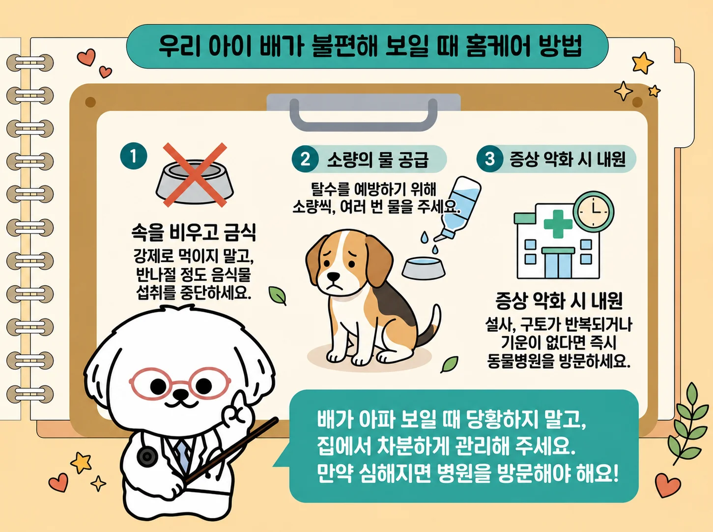 속을 비우고 금식, 소량의 물 공급, 증상 악화 시 내원, 배가 아파 보일 때 당황하지 말고 집에서 차분하게 관리해주세요, 심해지면 병원을 방문해야 해요 관련된 이미지입니다.