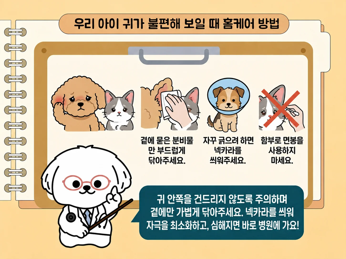겉에 묻은 분비물만 부드럽게 닦아주세요, 귀 세정제와 남은 약을 임의로 사용하지 마세요, 긁어서 상처가 나지 않게 해주세요, 통증·악취·분비물이 있으면 진료받으세요, 머리를 기울이거나 균형을 잃으면 빠르게 진료 관련된 이미지입니다.