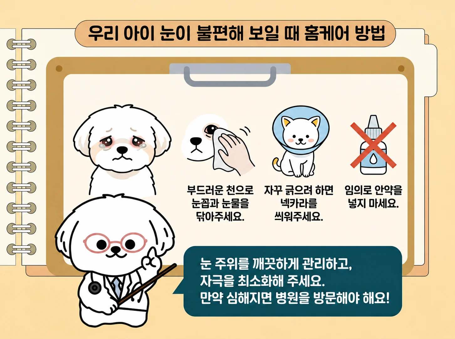 부드러운 천으로 눈곱과 눈물을 닦아주세요, 자꾸 긁으려 하면 넥카라를 씌워주세요, 임의로 안약을 넣지 마세요, 눈 주위를 깨끗하게 관리하고 자극을 최소화해주세요, 심해지면 병원을 방문해야 해요 관련된 이미지입니다.