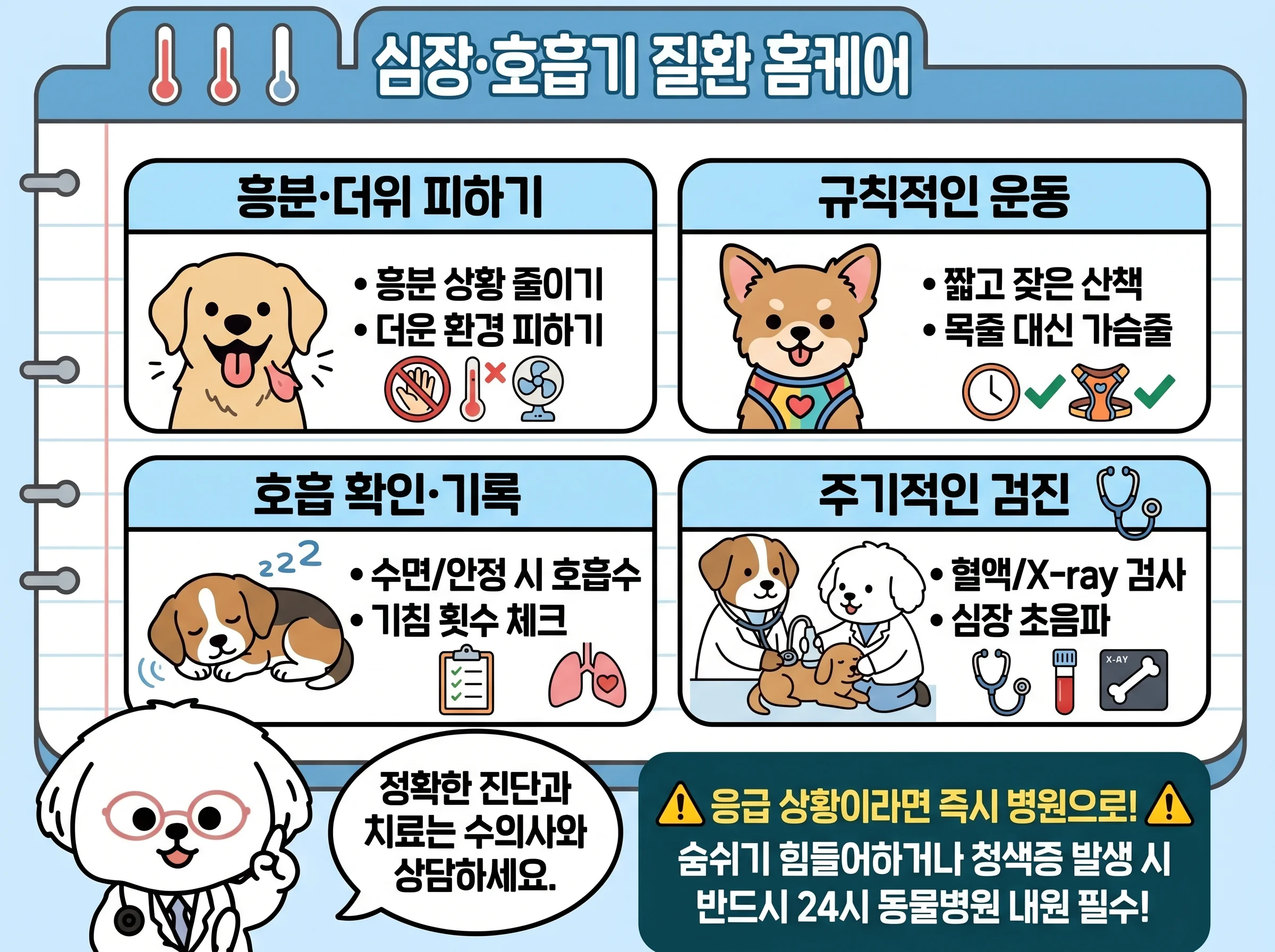 흥분·더위 피하기, 규칙적인 운동, 호흡 확인·기록, 주기적인 검진, 정확한 진단과 치료는 수의사와 상담하세요 관련된 이미지입니다.