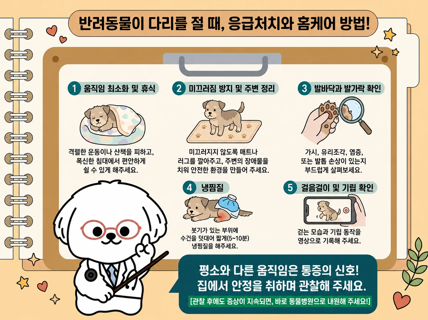 움직임을 줄이고 안정시켜 주세요, 아픈 다리에 체중을 싣도록 강요하지 마세요, 마사지·교정·사람용 진통제를 피하세요, 다리를 전혀 딛지 못하거나 부기·통증이 심하면 당일 진료, 걸음걸이를 짧게 촬영해 주세요 관련된 이미지입니다.