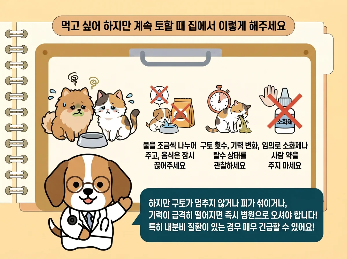 물을 조금씩 나누어 주고, 음식은 잠시 끊어주세요, 구토 횟수, 기력 변화, 탈수 상태를 관찰하세요, 임의로 소화제나 사람 약을 주지 마세요, 구토가 멈추지 않거나 피가 섞이면 즉시 병원으로 관련된 이미지입니다.